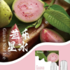 SP2S煙彈❤️‍一代通用❤️‍3顆入❤️‍老字號品牌