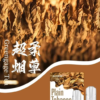 SP2S煙彈❤️‍一代通用❤️‍3顆入❤️‍老字號品牌